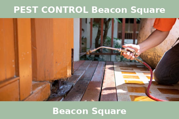 PEST CONTROL Beacon Square